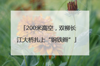 200米高空，双柳长江大桥扎上“钢铁辫”